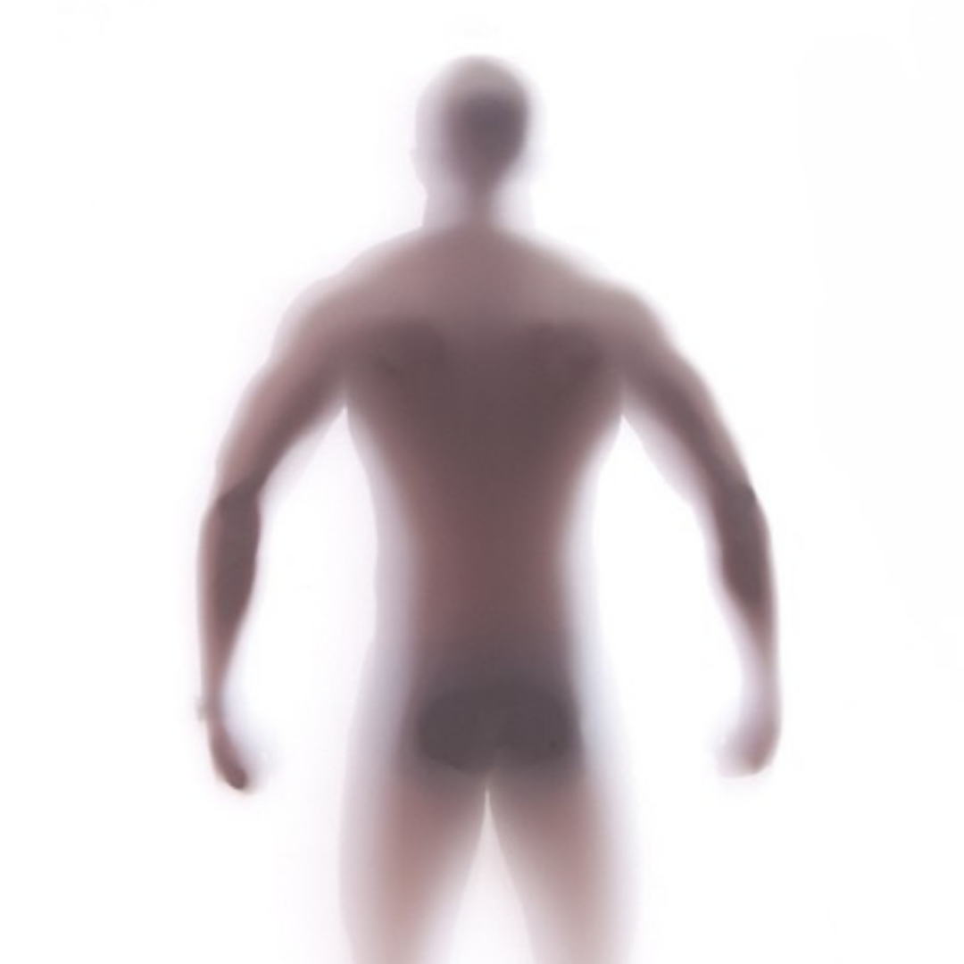 Muscle Collection