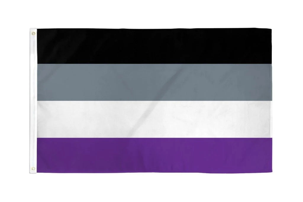 Asexual Pride outdoor flag with black gray white and purple stripes on a white background