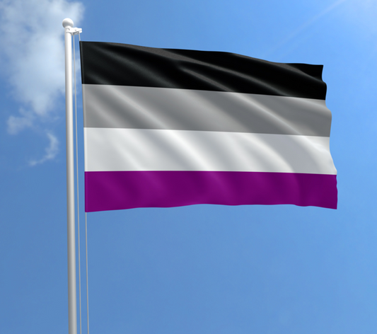 Asexual Pride outdoor flag with black gray white and purple stripes against a blue sky