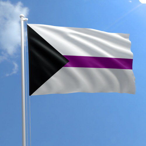 Demisexual Pride outdoor flag with black triangle and white gray purple stripes against a blue sky