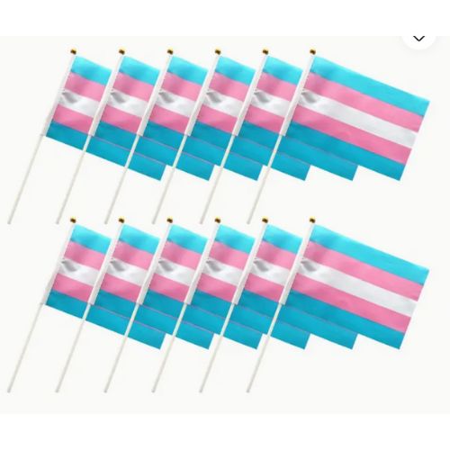 Transgender Pride handheld party flag with transgender pride colors