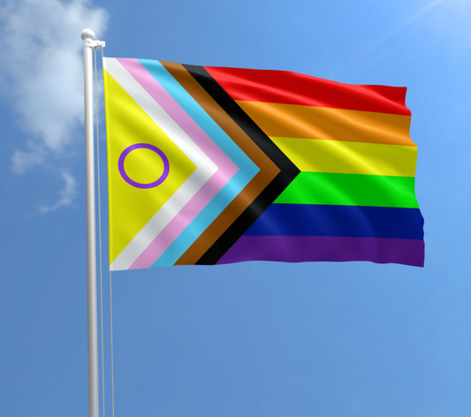 Progress Inclusive Pride Flag with intersex symbol in 3x5 outdoor polyester design on a blue sky background