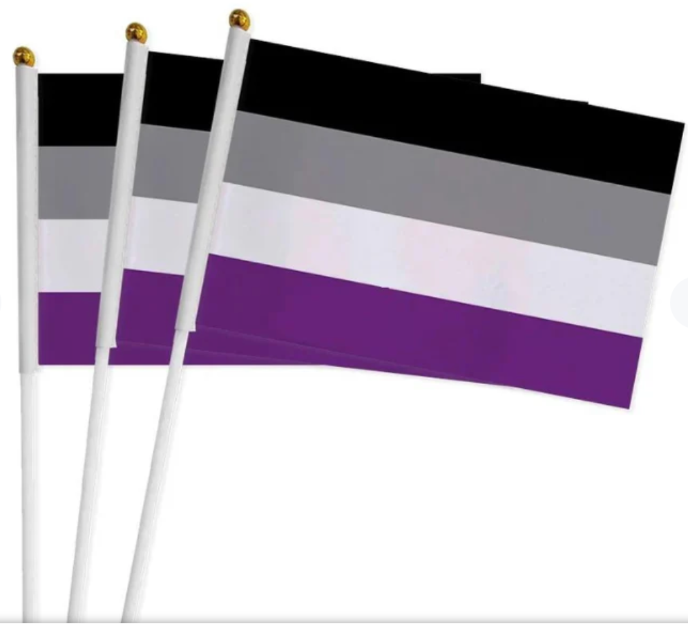 Asexual Pride handheld party flag with ace pride colors