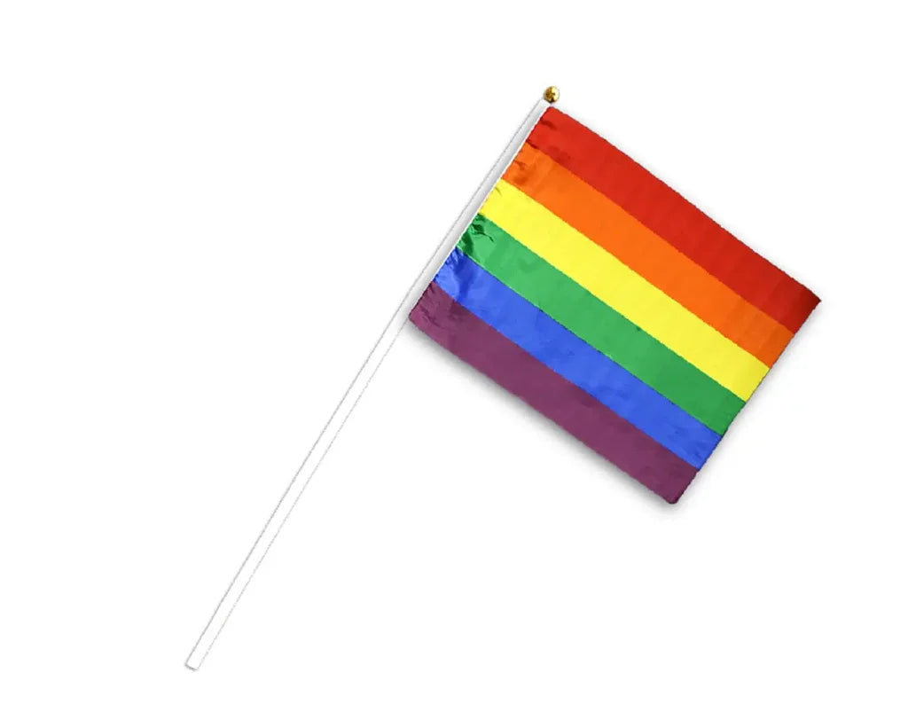 Classic Rainbow Pride handheld party flag with classic six-color rainbow design
