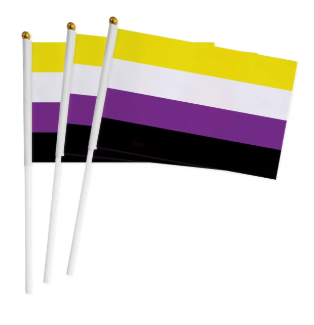 Nonbinary Pride handheld party flag with nonbinary pride colors