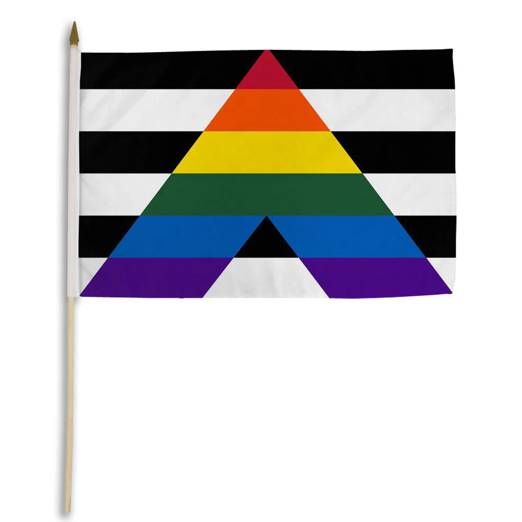 Ally Pride stick flag with rainbow ally symbol mounted on wooden pole