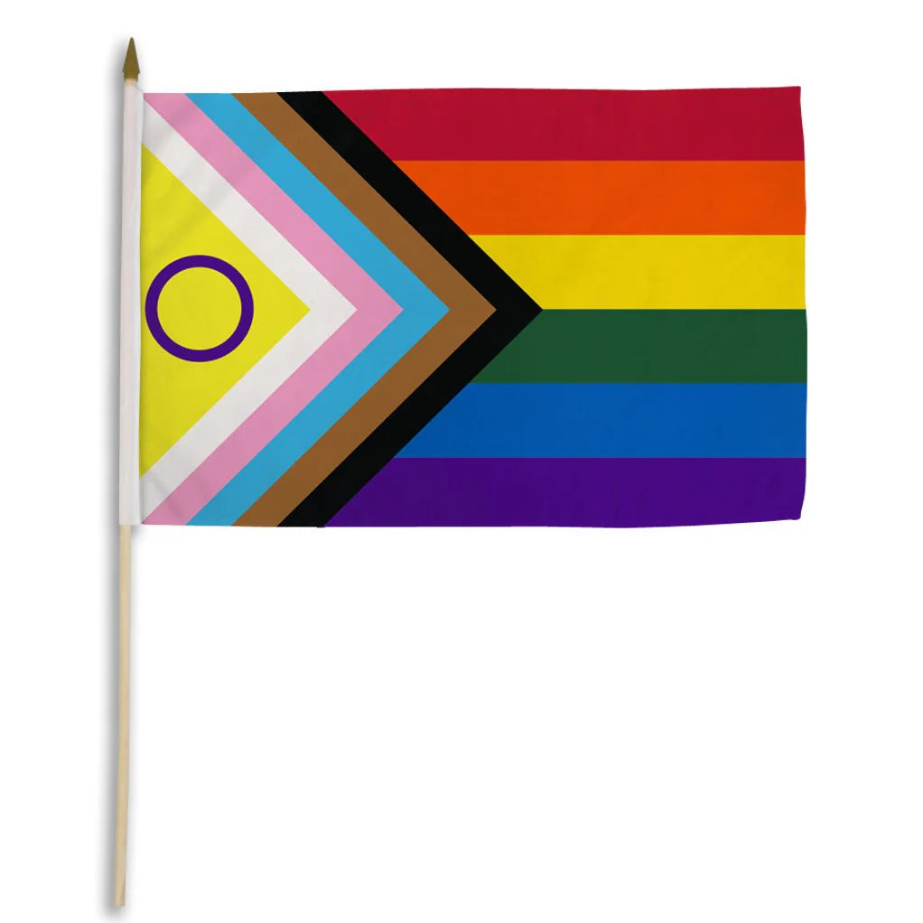 Progress Inclusive Pride stick flag with wooden pole and bright rainbow colors