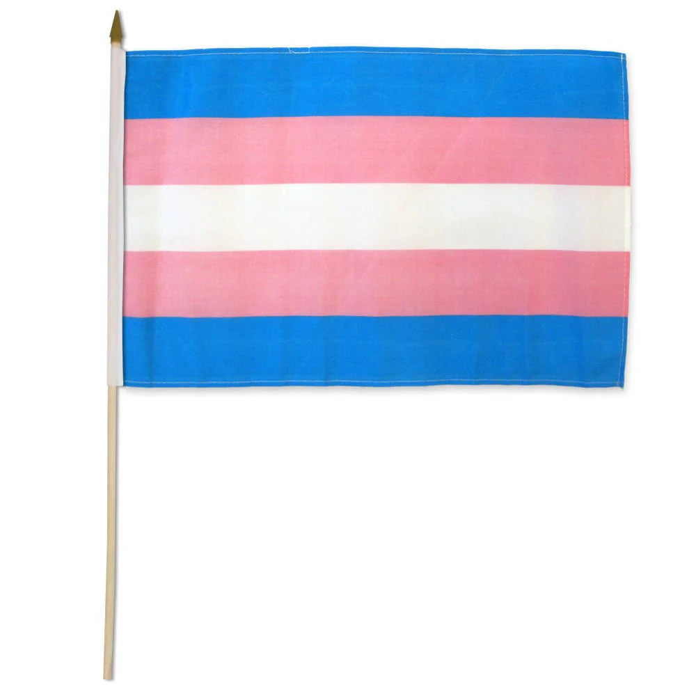Transgender Pride stick flag mounted on wooden pole