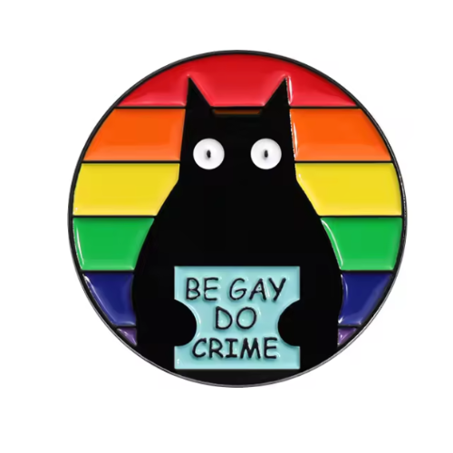 Be Gay Do Crime enamel pin featuring black cat mugshot against rainbow Pride background