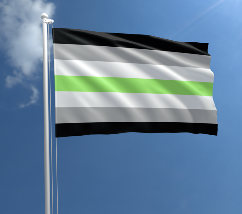 Agender Pride outdoor flag with black white gray and green horizontal stripes against a blue sky