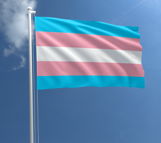 Transgender Pride outdoor flag with light blue pink and white stripes against a blue sky